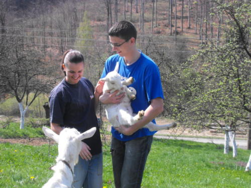 Radka prvýkrát dojí kozu, Zlatá Baňa 2011